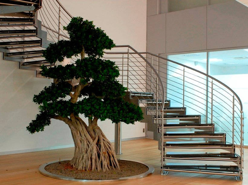 A winding steep staircase with stone steps and iron rails against the  background of beautiful climbing plants Stock Photo